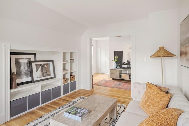 22 Robinson Unit 3, Somerville, MA 02145 - living room with built in features, light wood finished floors, and vaulted ceiling