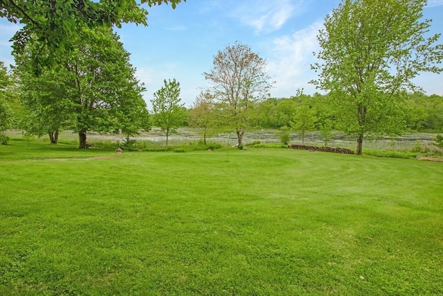 144 Worcester Rd, New Braintree, MA 01531 - view of green lawn