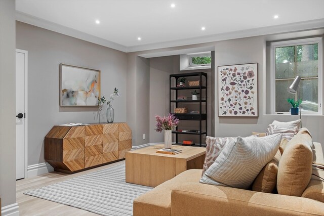 living room with light hardwood / wood-style flooring