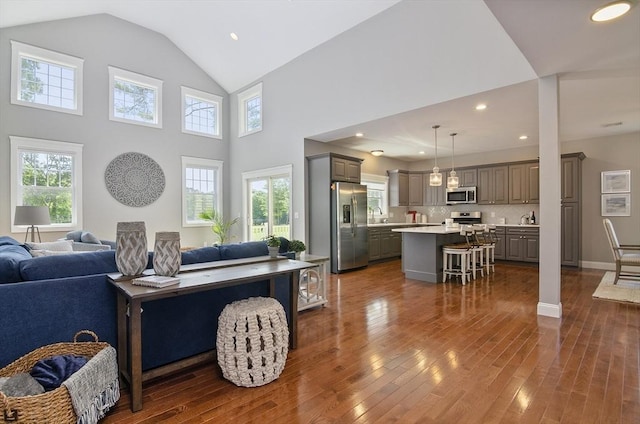 living room with high vaulted ceiling, plenty of natural light, dark hardwood / wood-style flooring, and sink