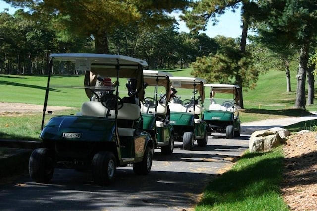 view of property's community with a yard