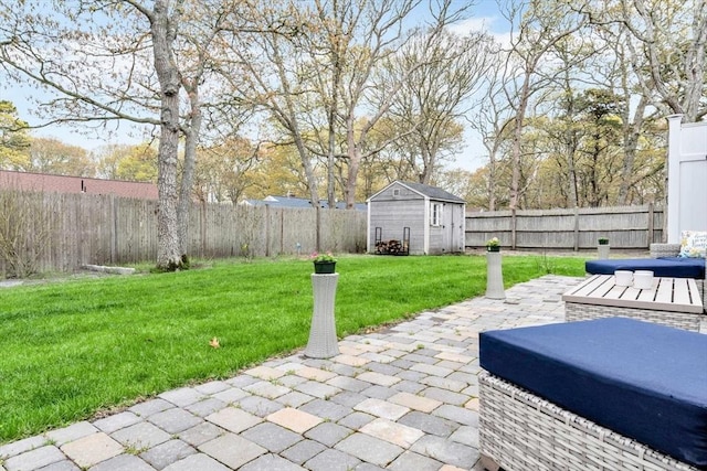 view of yard with a patio area, an outdoor structure, and a storage unit