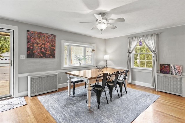 2 Putnam Ln, Auburn, MA 01501 - dining area featuring radiator, healthy amount of natural light, and wood finished floors