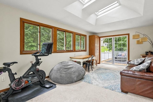 2 Putnam Ln, Auburn, MA 01501 - workout area with a skylight, carpet flooring, and a tray ceiling