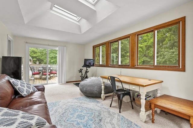 2 Putnam Ln, Auburn, MA 01501 - office space with carpet floors, a skylight, and a raised ceiling