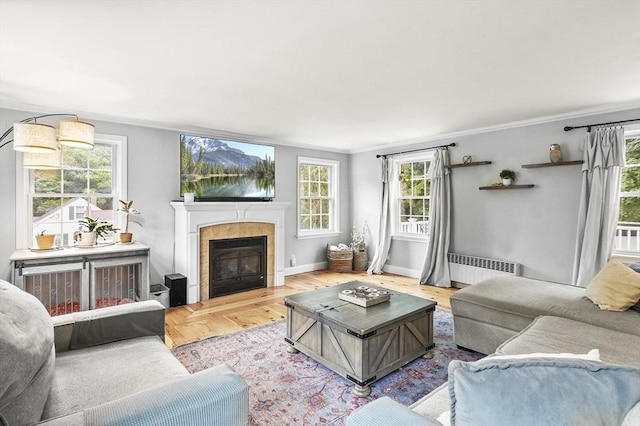 2 Putnam Ln, Auburn, MA 01501 - living room featuring radiator, crown molding, a fireplace, and wood finished floors
