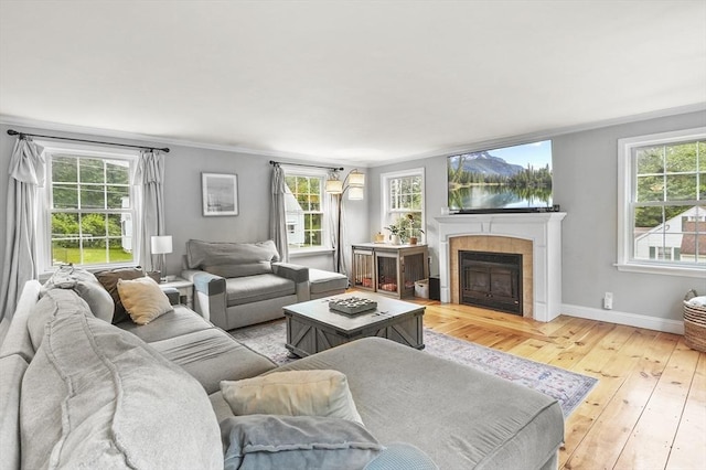 2 Putnam Ln, Auburn, MA 01501 - living area featuring wood-type flooring, a tile fireplace, and crown molding