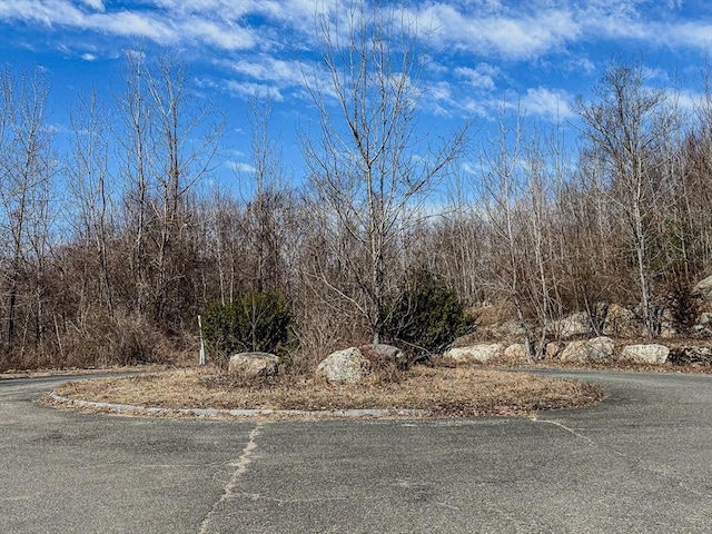 Listing photo 3 for LOT15 Carver St, Granby MA 01033