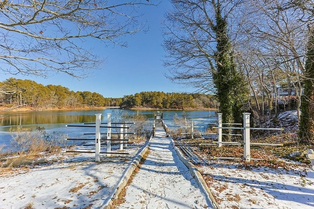 dock area with a wooded view and a water view