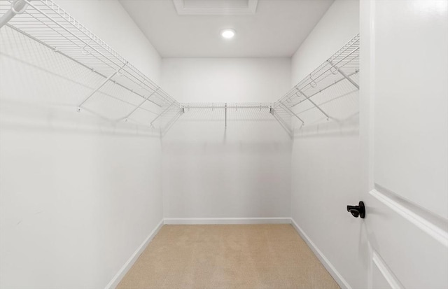 spacious closet with light carpet