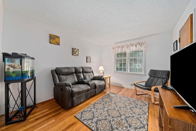70 Bestick Rd, Braintree, MA 02184 - living area with light wood-style flooring