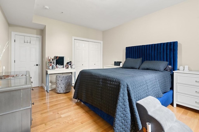 28 Broad St Unit 205, Marlborough, MA 01752 - bedroom featuring light wood-style floors and a closet