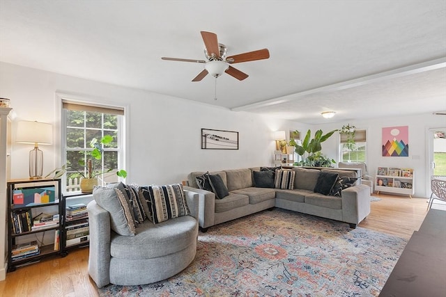 38 Phyllis Ln, Greenfield, MA 01301 - living room with ceiling fan and light wood-style flooring