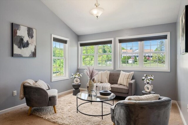 4 Patriots Blvd Unit 4, Hopkinton, MA 01748 - carpeted living room featuring baseboards and vaulted ceiling