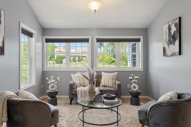 4 Patriots Blvd Unit 4, Hopkinton, MA 01748 - sitting room with baseboards and vaulted ceiling