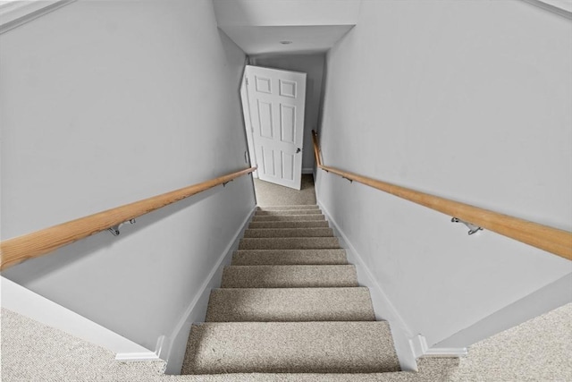staircase featuring carpet flooring