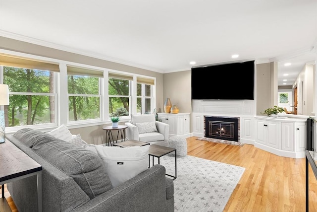 9 Twig Rush Ln, West Newbury, MA 01985 - living room with ornamental molding, light wood-type flooring, a warm lit fireplace, and recessed lighting
