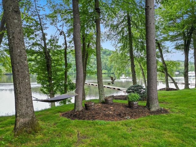 9 Twig Rush Ln, West Newbury, MA 01985 - view of green lawn with a water view