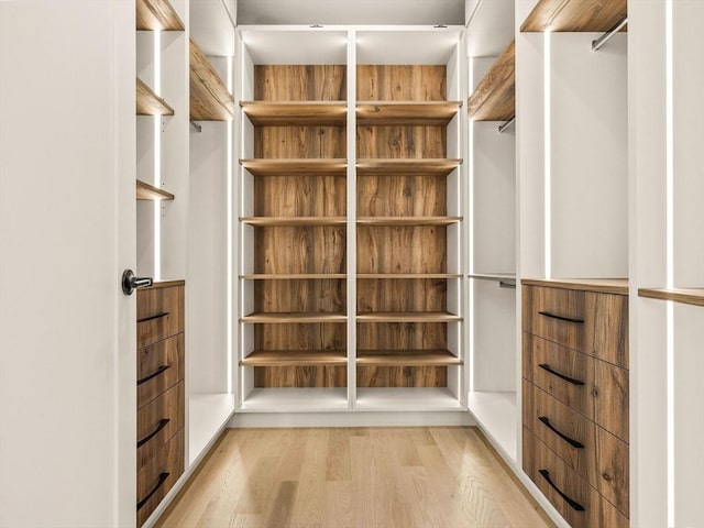 walk in closet with light wood-type flooring