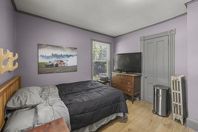 42 Briggs Ave, Pittsfield, MA 01201 - bedroom with light wood finished floors and ornamental molding