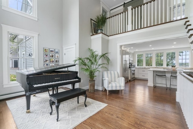 miscellaneous room with a towering ceiling and dark hardwood / wood-style flooring