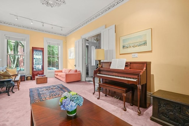 66 Rutland St, Boston, MA 02118 - sitting room featuring rail lighting and carpet