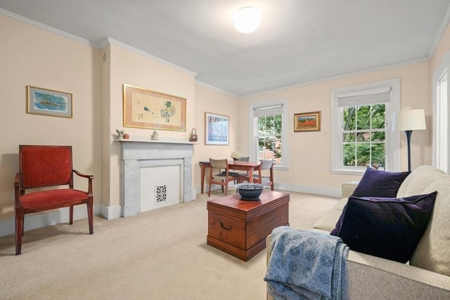 66 Rutland St, Boston, MA 02118 - living room featuring ornamental molding, light colored carpet, and a fireplace