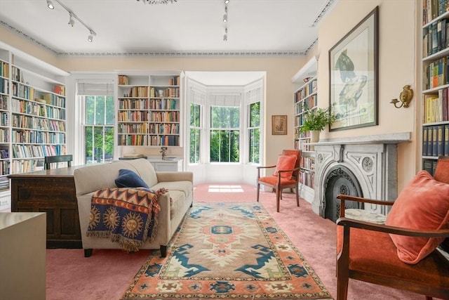 66 Rutland St, Boston, MA 02118 - living area featuring rail lighting and carpet floors