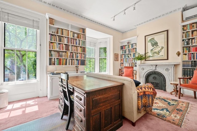 66 Rutland St, Boston, MA 02118 - office area with a wall mounted AC, light carpet, track lighting, and a fireplace