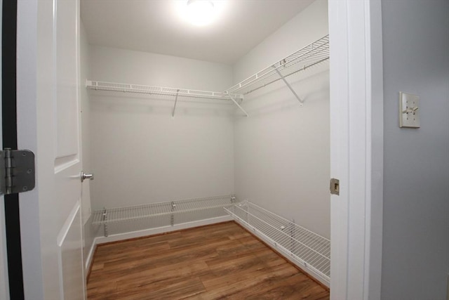 spacious closet featuring wood finished floors