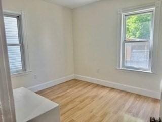16 Fowler St, Boston, MA 02121 - unfurnished room with baseboards and light wood-type flooring