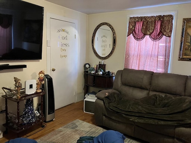 living room with hardwood / wood-style flooring