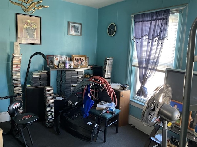 bedroom featuring carpet floors