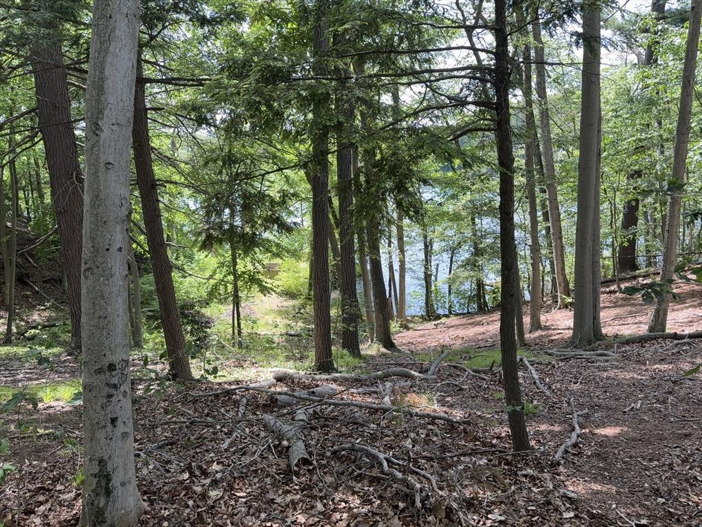 123 Dudley Rd, Wayland, MA 01778