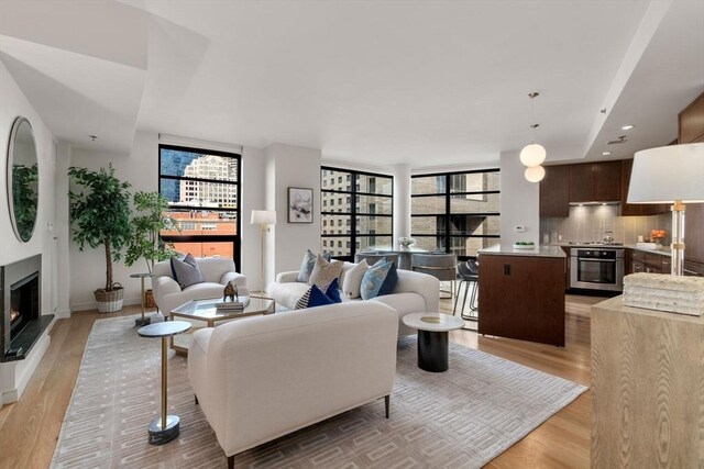 living room featuring light hardwood / wood-style floors