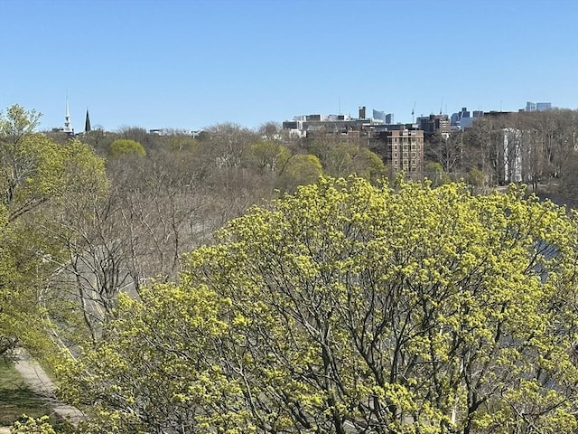 view of nature