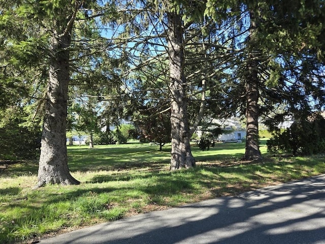 view of grassy yard