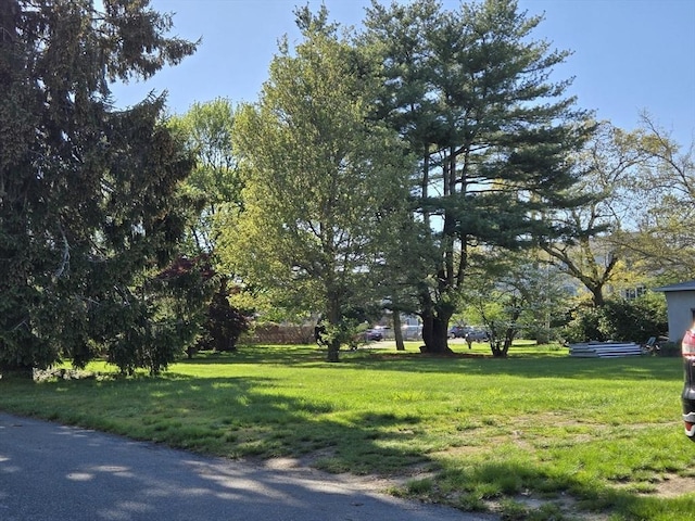 view of property's community with a yard