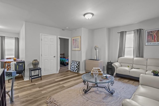 living room featuring wood-type flooring