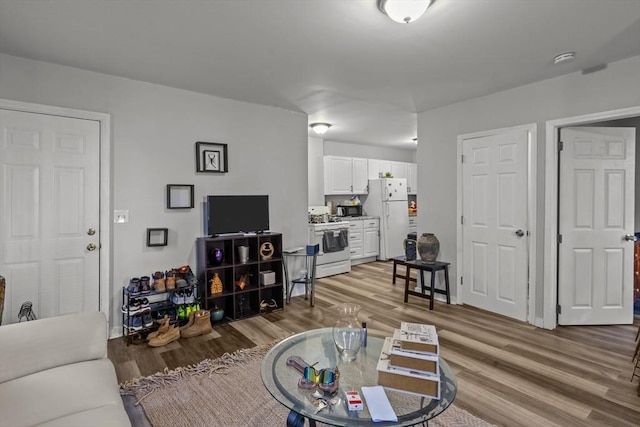 living room featuring light hardwood / wood-style floors