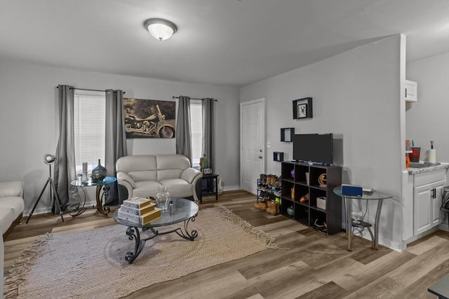 living room featuring light hardwood / wood-style flooring