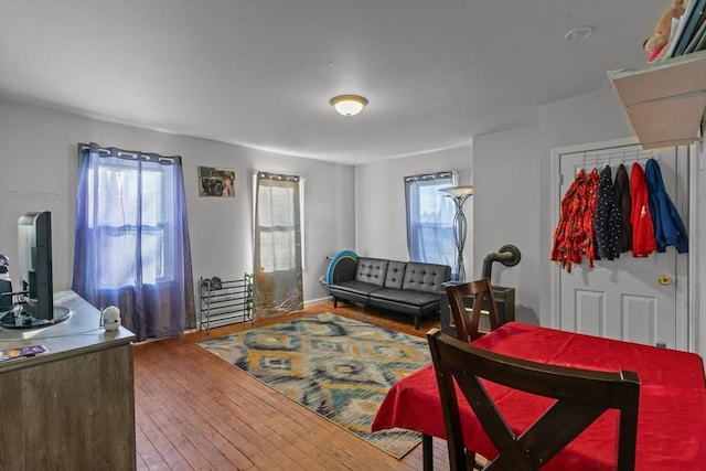 living room featuring hardwood / wood-style flooring