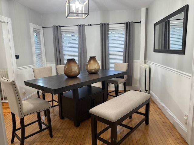 dining room with radiator, a wealth of natural light, an inviting chandelier, and light wood-type flooring