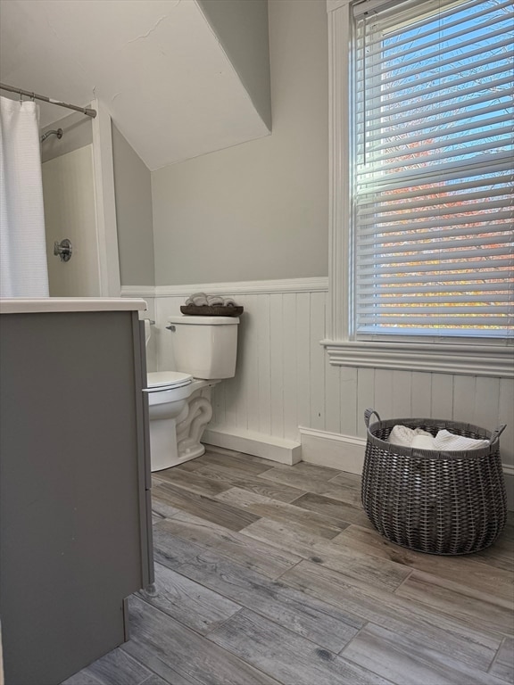 bathroom featuring wood-type flooring, vanity, toilet, and curtained shower