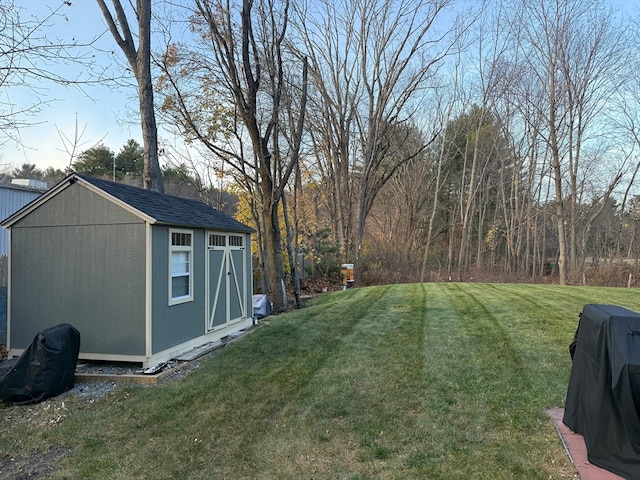 view of yard featuring a storage unit