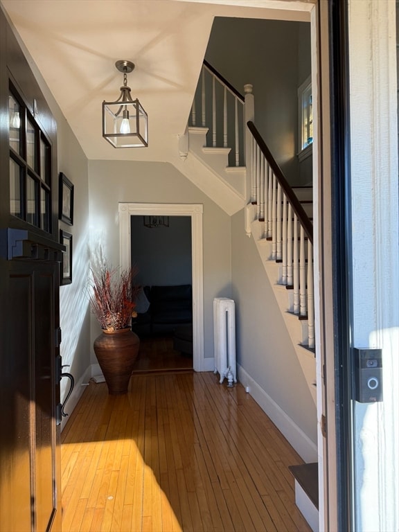 entryway featuring hardwood / wood-style floors and radiator