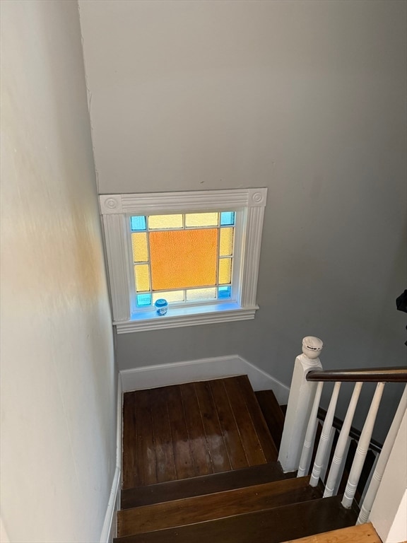 staircase featuring hardwood / wood-style flooring