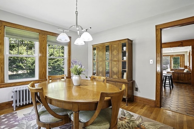 247 S St, Wrentham, MA 02093 - dining space featuring radiator, healthy amount of natural light, light wood-style flooring, and baseboards