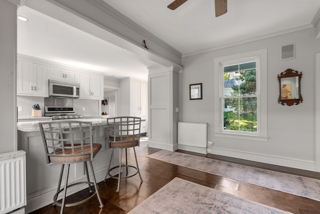 kitchen featuring plenty of natural light, ceiling fan, a kitchen breakfast bar, and appliances with stainless steel finishes