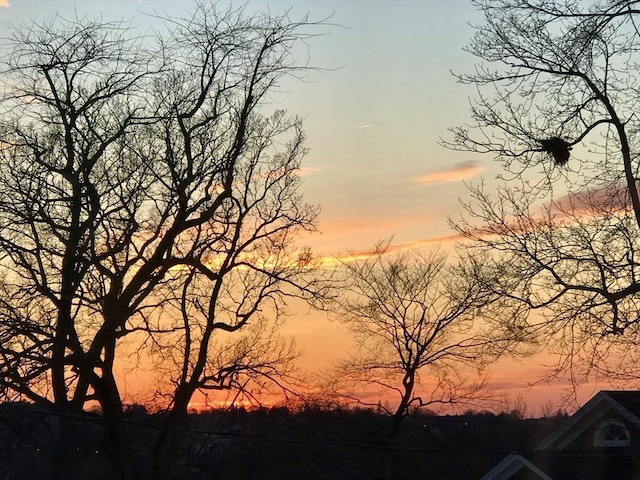 view of nature at dusk